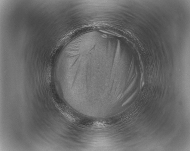 X0000051910496200507222112