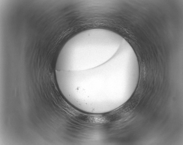 X0000051910498200507222112