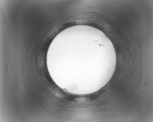 X0000051910499200507222112