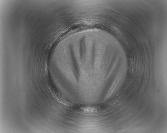 X0000051910500200507222112