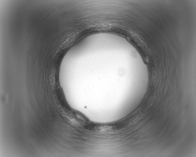 X0000051910501200507222112