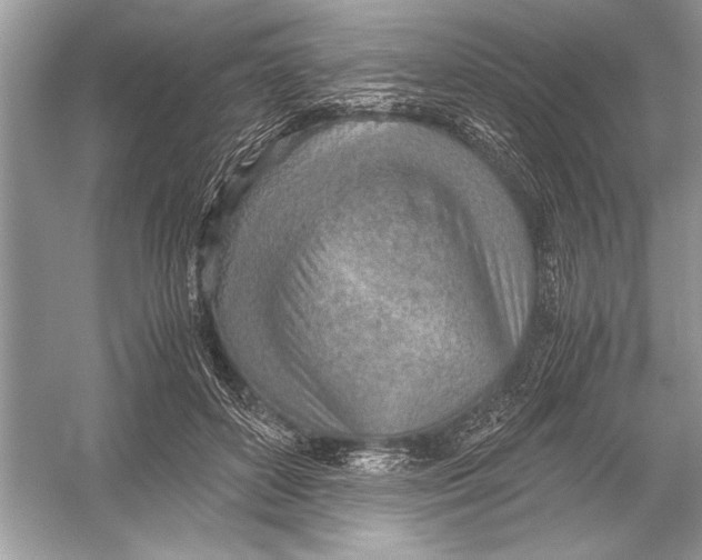 X0000051910504200507222112