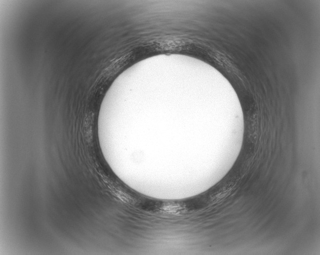 X0000051910505200507222112