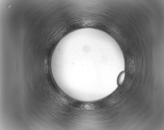 X0000051910506200507222112