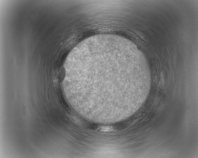 X0000051910507200507222112