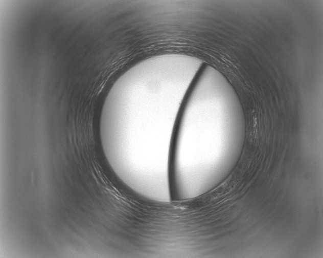 X0000051910508200507222112