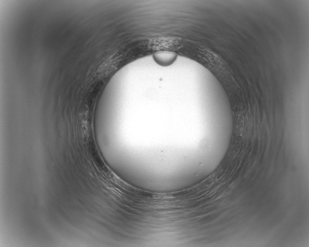 X0000051910510200507222112