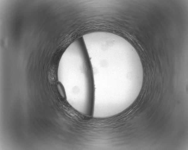 X0000051910517200507222111