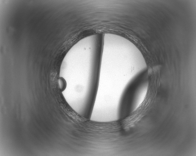 X0000051910521200507222111