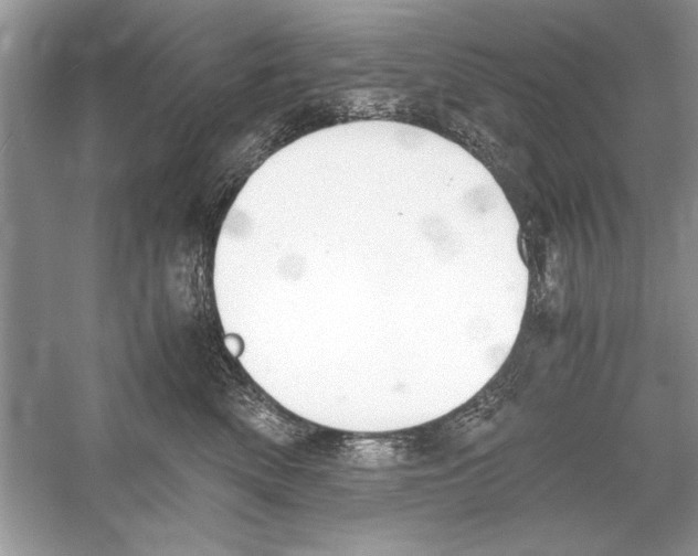 X0000051910522200507222111