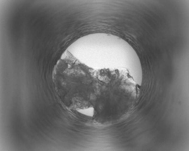 X0000051910527200507222111