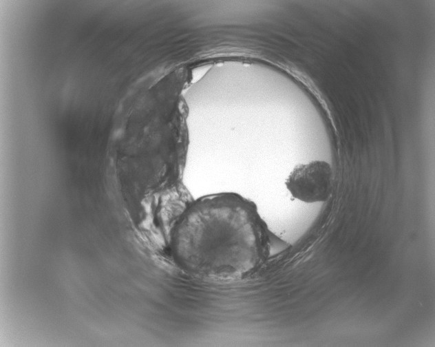 X0000051910529200507222110