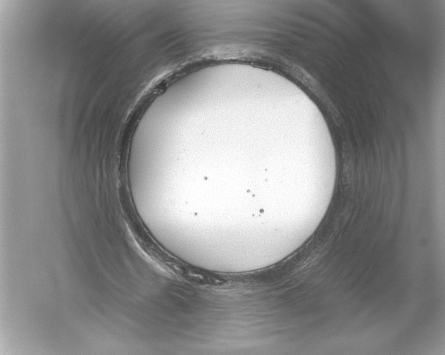 X0000051910530200507222110