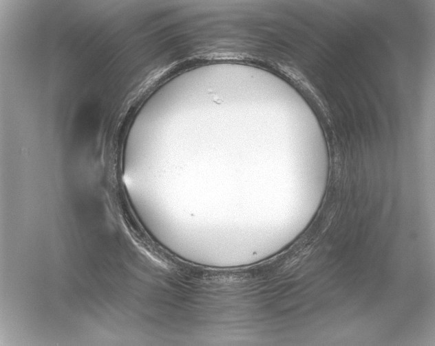 X0000051910533200507222110