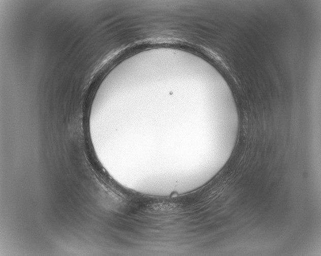 X0000051910535200507222111