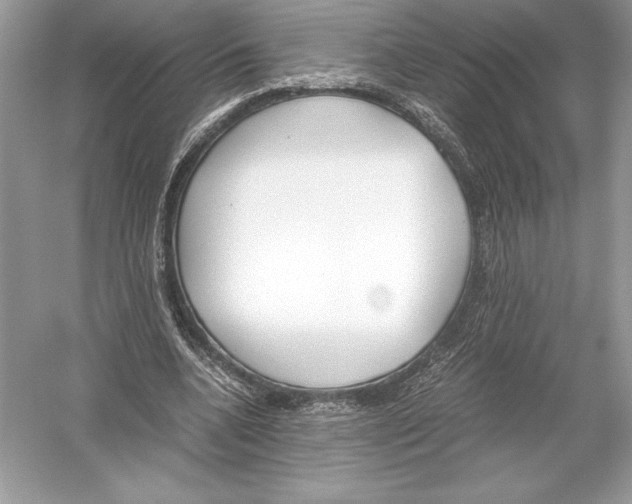 X0000051910536200507222111