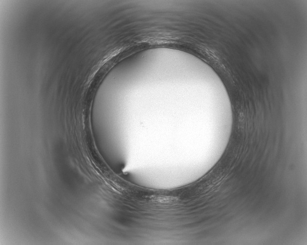 X0000051910539200507222111