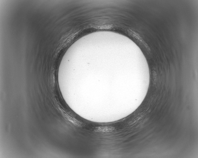 X0000051910541200507222111