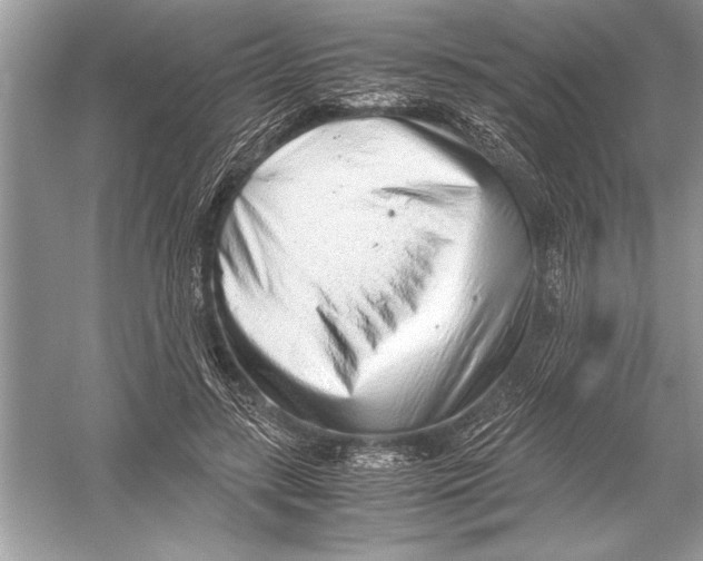 X0000051910547200507222111