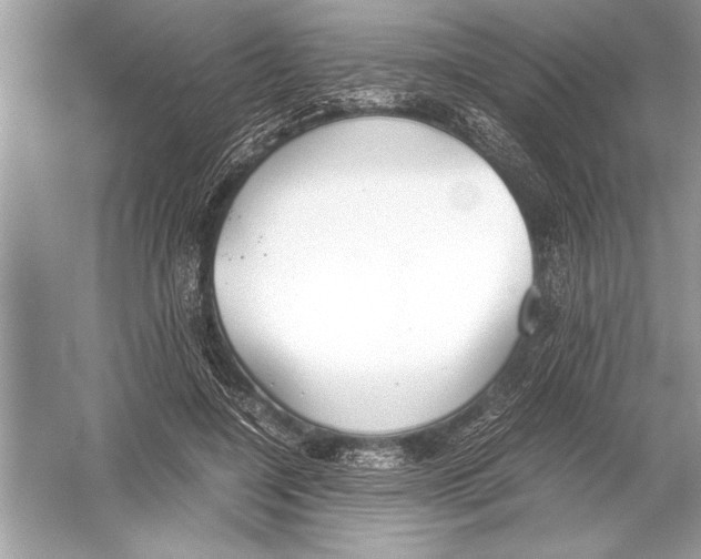 X0000051910548200507222111