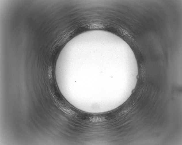 X0000051910549200507222111