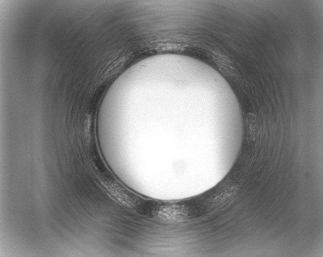 X0000051910550200507222111