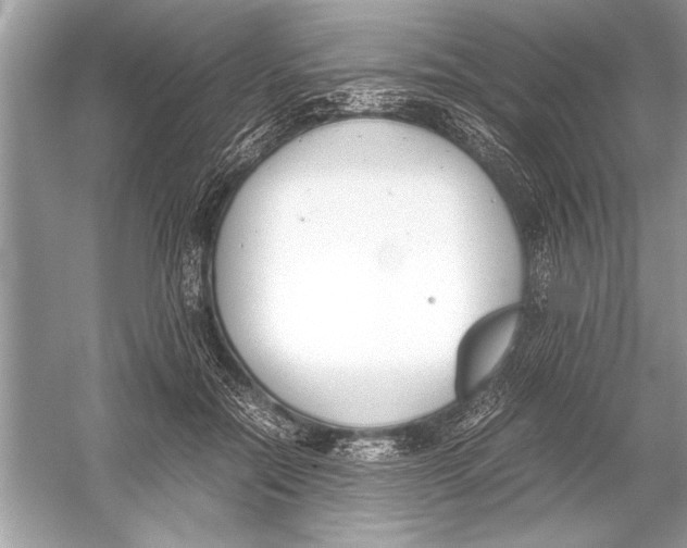 X0000051910554200507222111