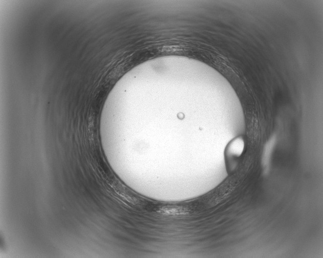 X0000051910557200507222111