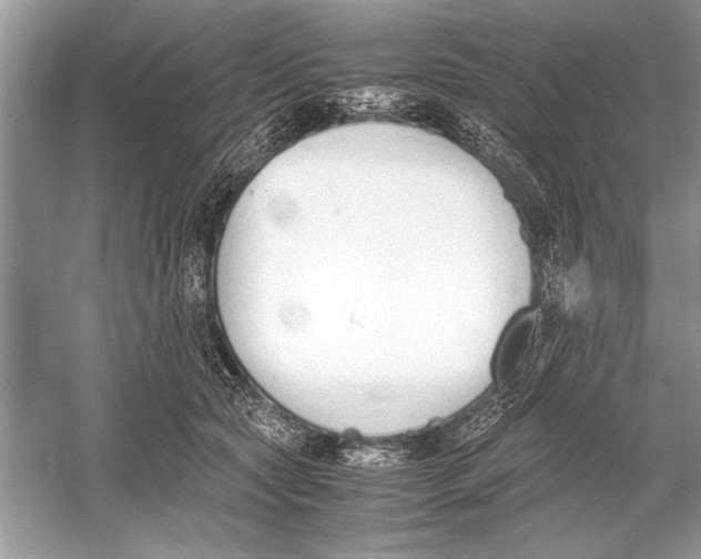 X0000051910561200507222111