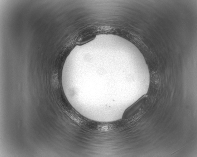 X0000051910564200507222111