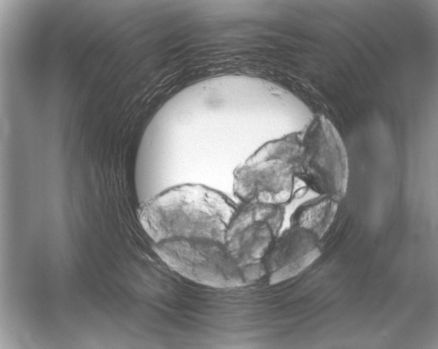 X0000051910565200507222111