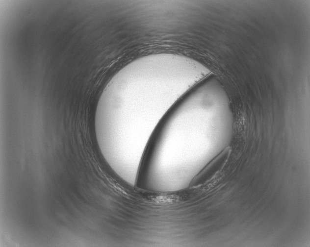 X0000051910566200507222111