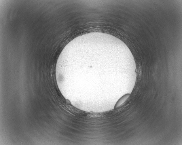 X0000051910567200507222111