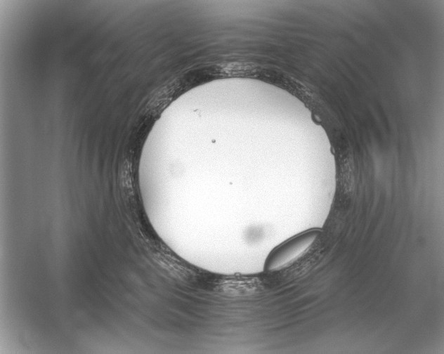 X0000051910571200507222111