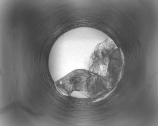 X0000051910573200507222111