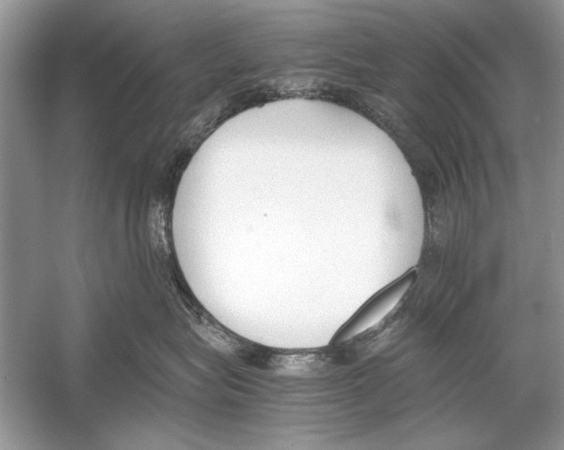 X0000051910575200507222111