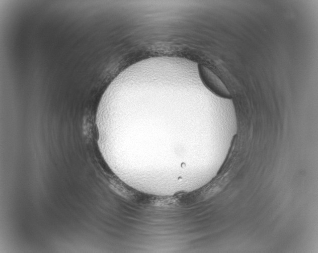 X0000051910576200507222111