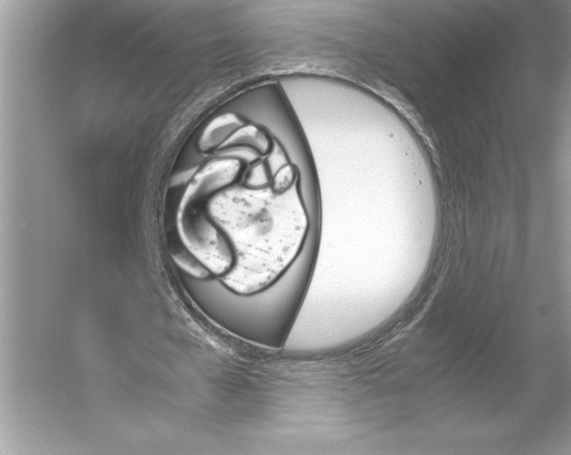 X0000051910577200507222110