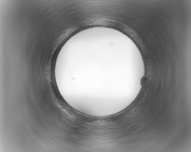 X0000051910578200507222110