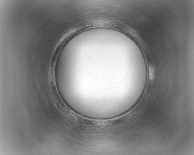 X0000051910579200507222110