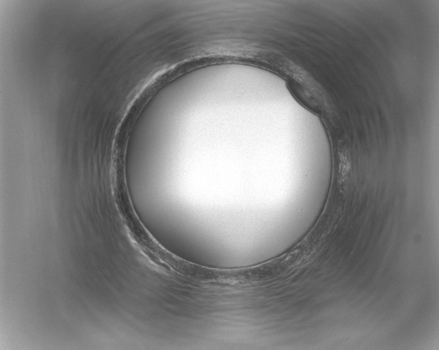 X0000051910580200507222110