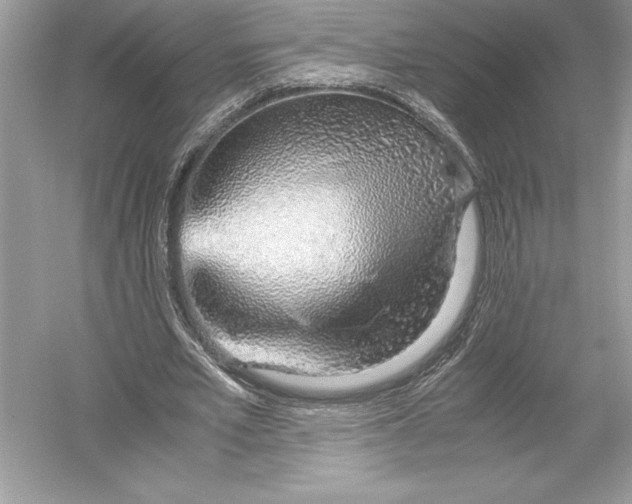 X0000051910581200507222110