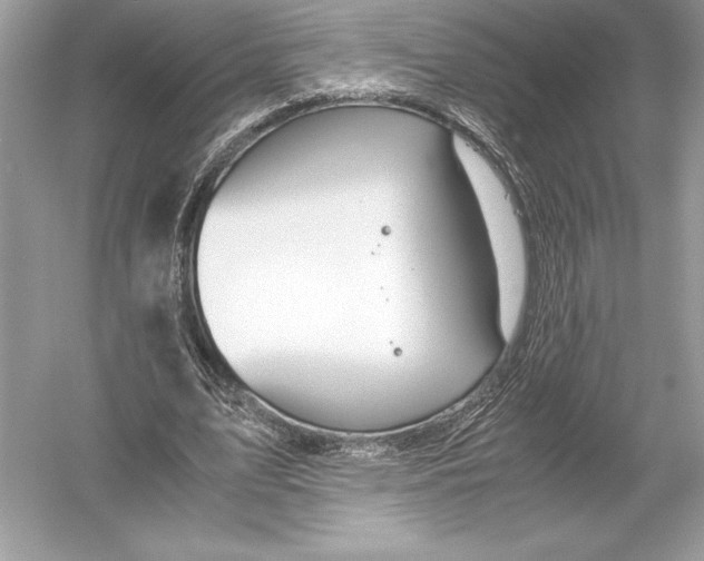 X0000051910583200507222110