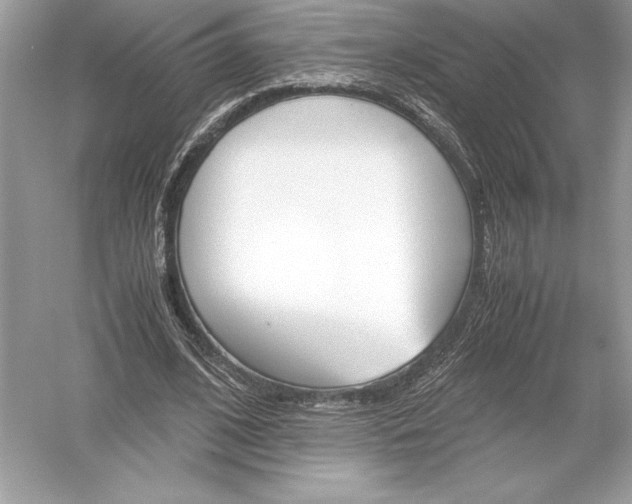 X0000051910584200507222110