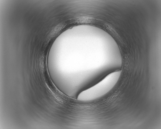 X0000051910586200507222110