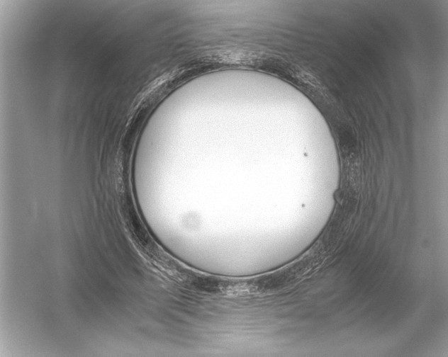 X0000051910587200507222110