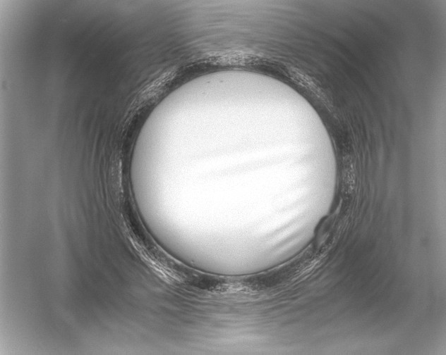 X0000051910589200507222110