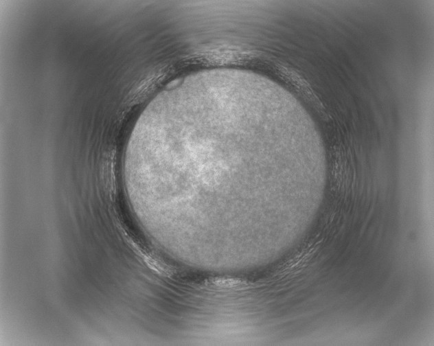 X0000051910590200507222110