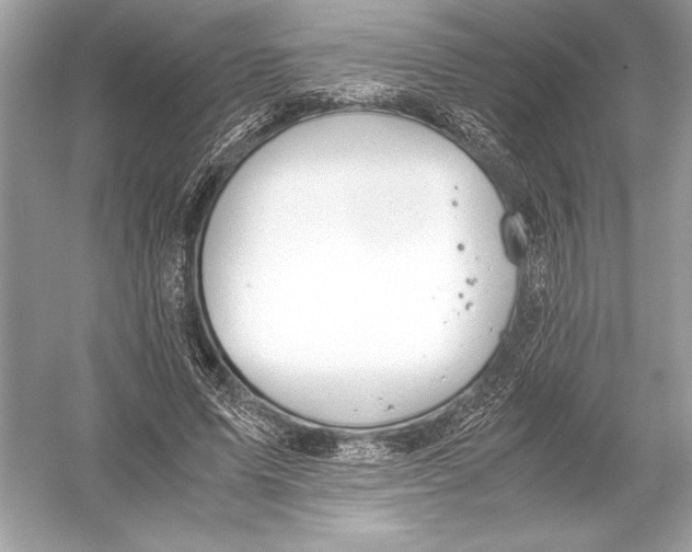 X0000051910591200507222110