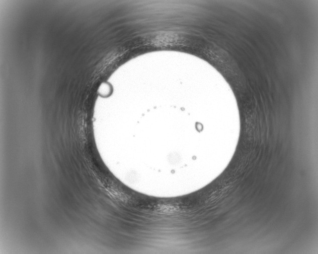 X0000051910592200507222110